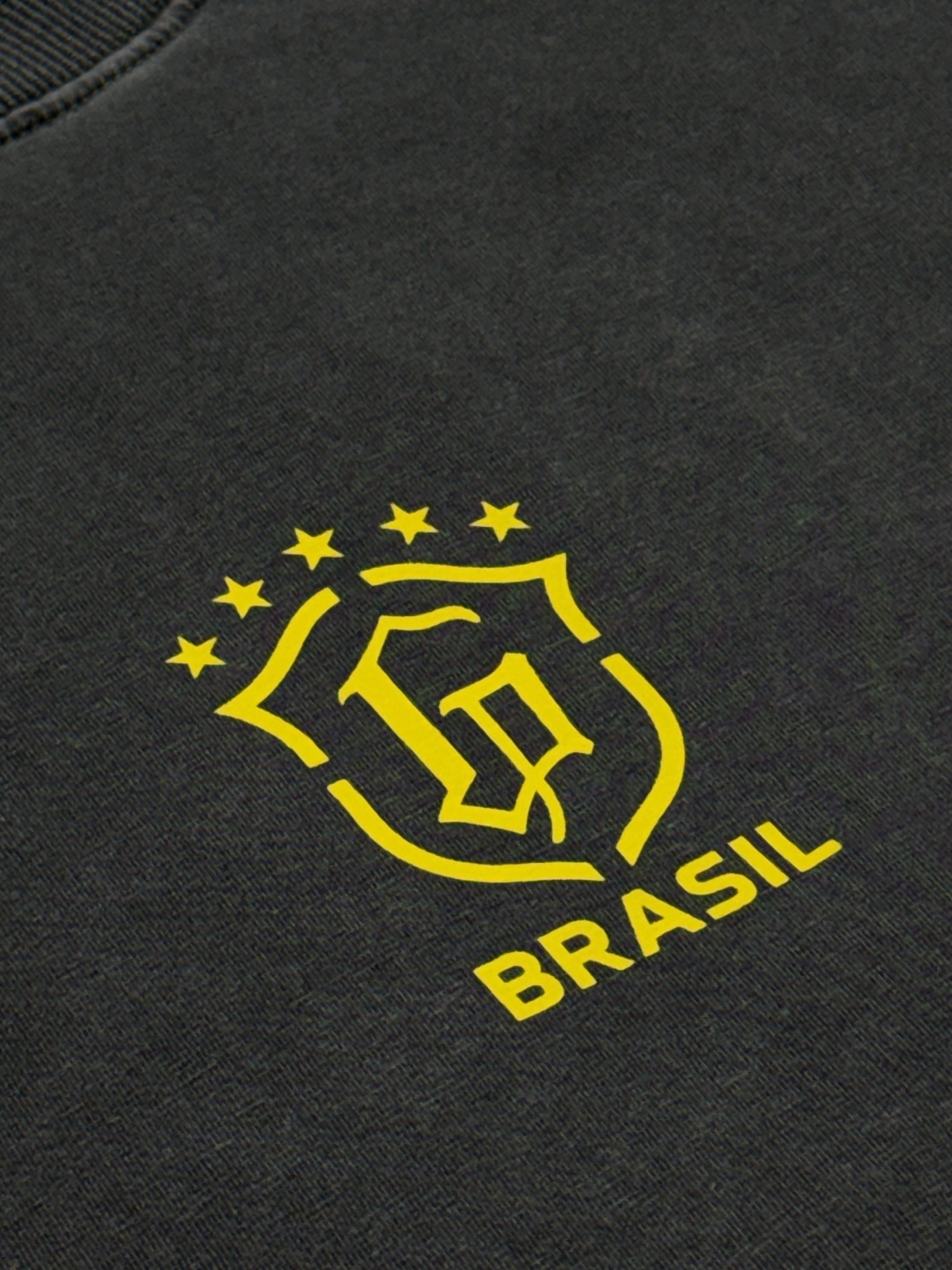 Camiseta Brasil / Fenômeno